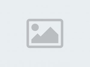 4×3 Placeholder